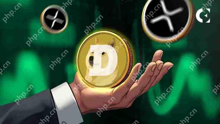 Memecoin Doge在每日活动地址中超过XRP，这是用户参与度增长和网络活动的迹象